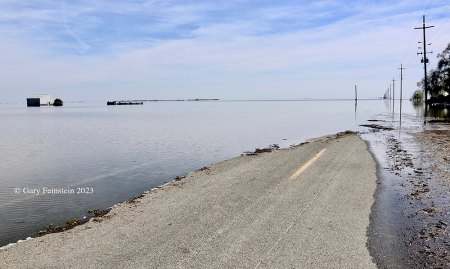 Dairy Avenue is cut off by flood waters four miles south of the City of Corcoran